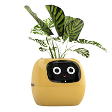 Load image into Gallery viewer, Arborix™ - Tuya Ivy Smart Planter