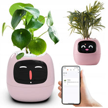 Load image into Gallery viewer, Arborix™ - Tuya Ivy Smart Planter