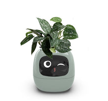 Load image into Gallery viewer, Arborix™ - Tuya Ivy Smart Planter
